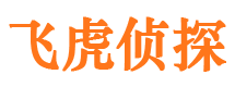 印江市侦探